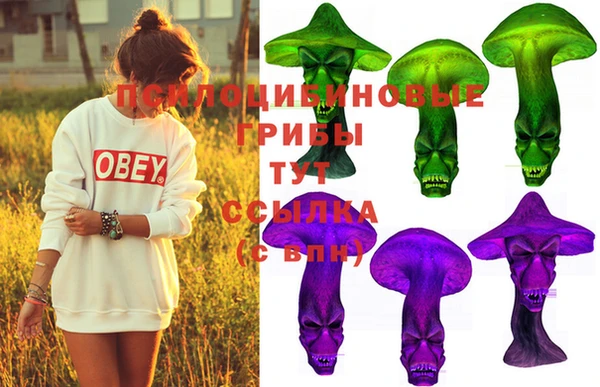 не бодяженный Приозерск