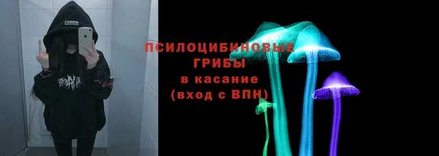 spice Абаза