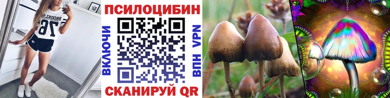 Псилоцибиновые грибы GOLDEN TEACHER цена Балахна